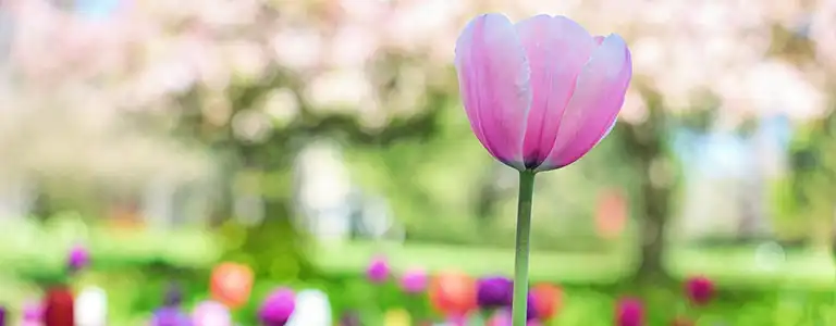 webdesign et infographie