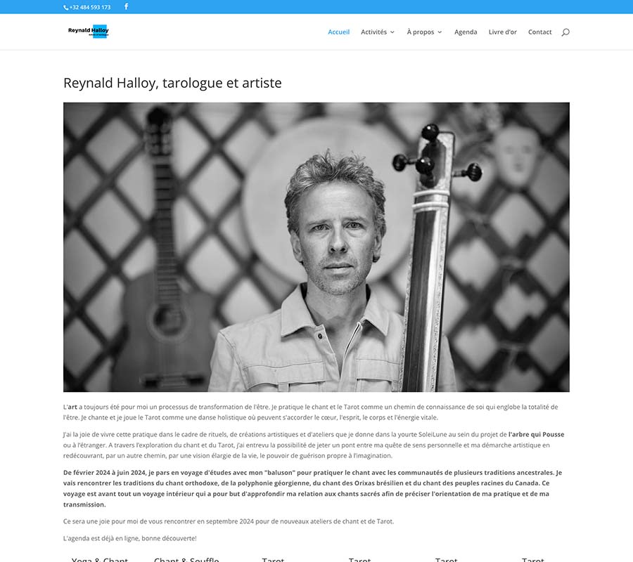 Reynald Halloy artiste